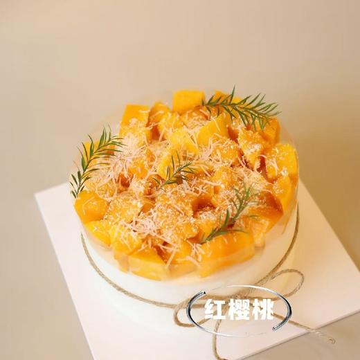 逐梦冰淇淋蛋糕 商品图1