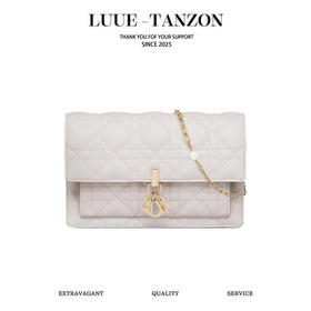 迪奥【全新到货】CD 23新款 Lady 手拿包（LZ）