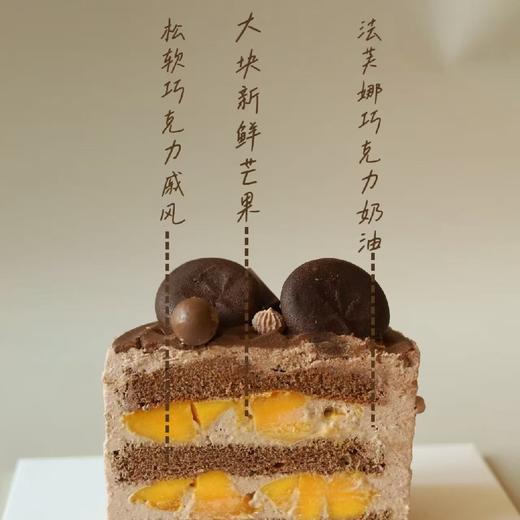 巧克力🍫长崎 商品图2