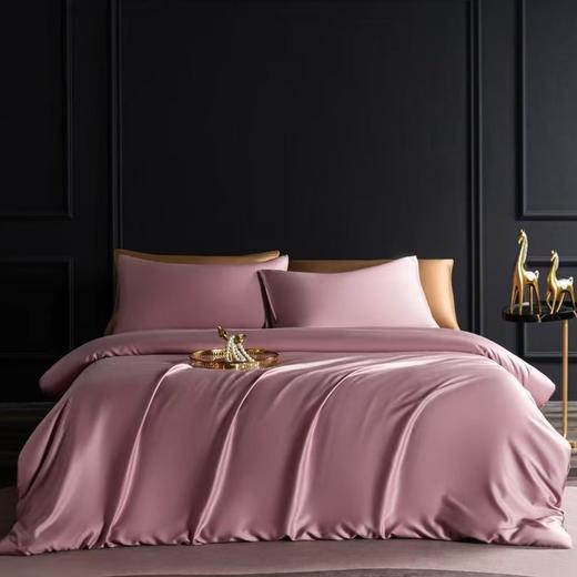 60支兰精天丝四件套25春秋新品高端A类冰丝被套莱赛尔面料 商品图3