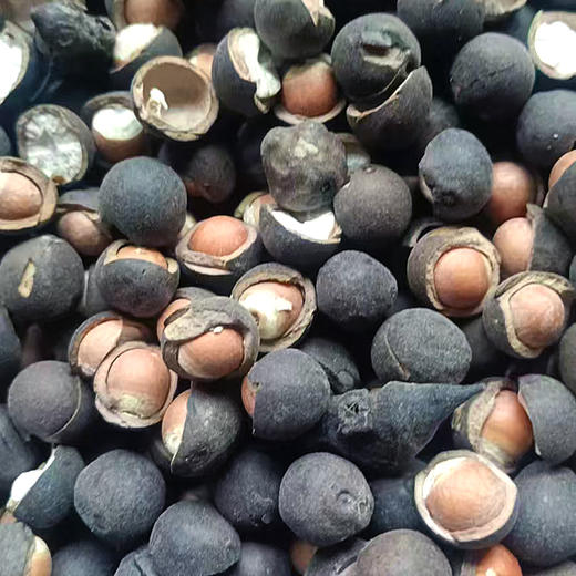 『洪湖大颗粒芡实』饱满清甜，吃法百搭，又名鸡头米，享“水中人参”之美誉 商品图7