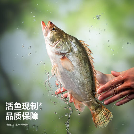 MM 山姆 太二 松鼠桂鱼 785g 商品图4