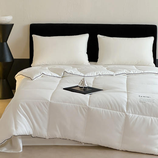 自然醒康纶航天系列-康纶暖绒被TD 商品图0