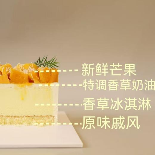 逐梦冰淇淋蛋糕 商品图2
