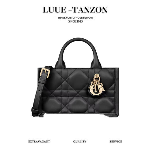 迪奥 迷你BOOKTOTE 手袋单肩包（LZ） 商品图0