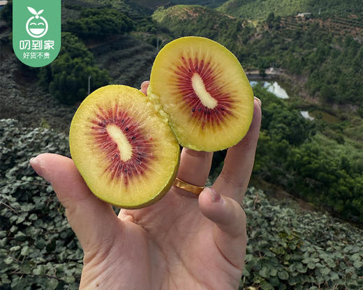 滇猴王即食工艺红心猕猴桃（大果）/1份（4粒*2盒，1盒400g±10g，单粒90-110g） 商品图4