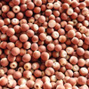 『洪湖大颗粒芡实』饱满清甜，吃法百搭，又名鸡头米，享“水中人参”之美誉 商品缩略图1
