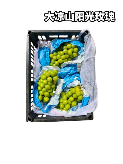 大板阳光玫瑰 葡萄（送货路上会掉粒） 商品图0