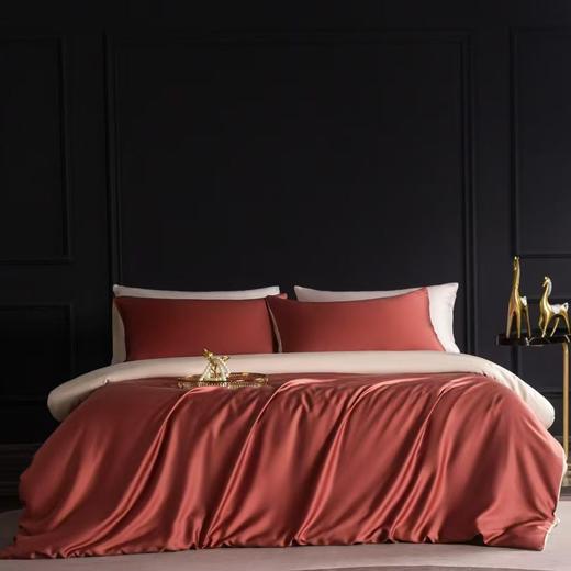 60支兰精天丝四件套25春秋新品高端A类冰丝被套莱赛尔面料 商品图2