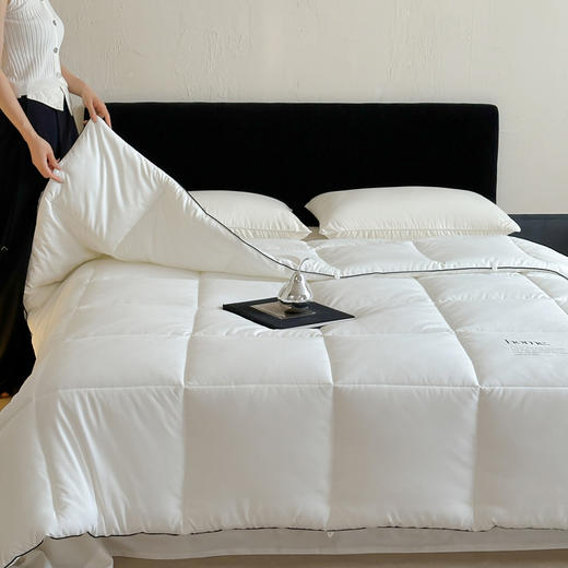 自然醒康纶航天系列-康纶暖绒被TD 商品图2