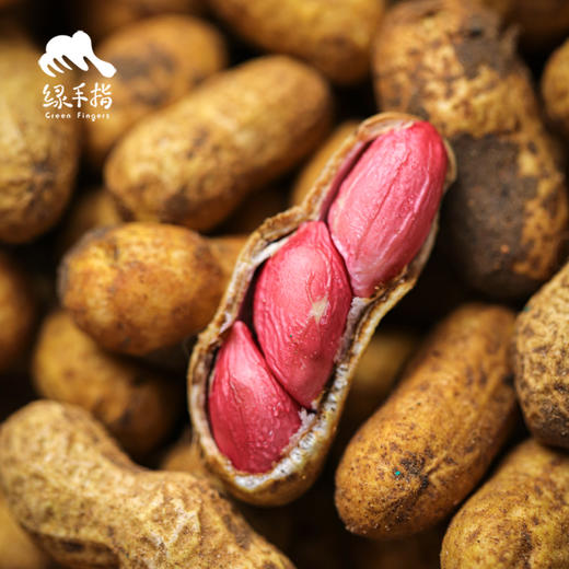 生态新鲜水果花生 | 合作生产*Ecological  peanut |  Partner Production 商品图5