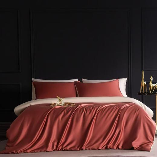 60支兰精天丝四件套25春秋新品高端A类冰丝被套莱赛尔面料 商品图0