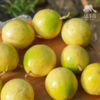 生态黄金百香果（广西，邮政快递） | 合作生产*  Eco-Passion fruit | Partner Production 商品缩略图2