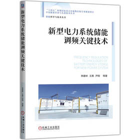 新型电力系统储能调频关键技术