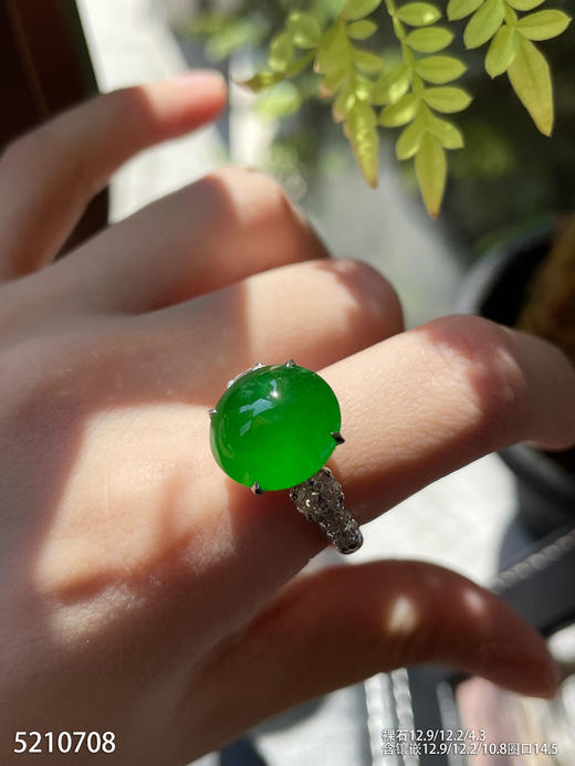 老坑帝王绿蛋面戒指【5210708】具体价格微信咨询 商品图3