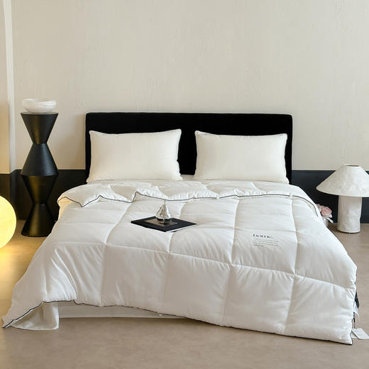 自然醒康纶航天系列-康纶暖绒被TD 商品图1