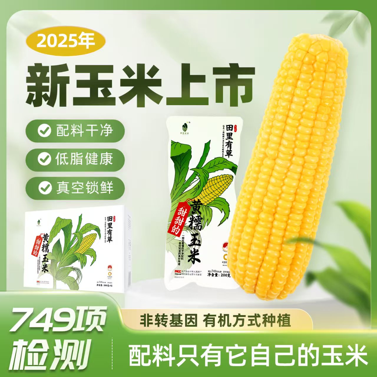 石家庄优选仓库速达，田里有草有机黄糯玉米， 来自东北公主岭玉米，甜甜的黄糯玉米，200克*12穗礼盒装