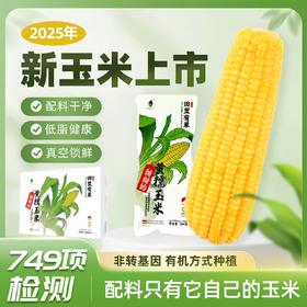 石家庄优选仓库速达，田里有草有机黄糯玉米， 来自东北公主岭玉米，甜甜的黄糯玉米，200克*12穗礼盒装