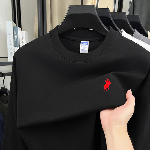 2025秋季新款休闲时尚刺绣打底衫长袖男T恤纯棉280克圆领男士卫衣 商品图3