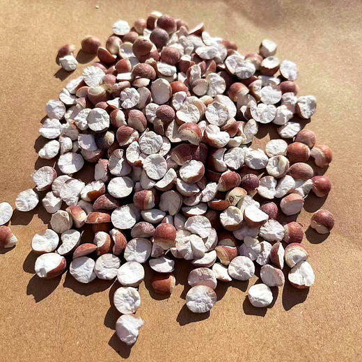 『洪湖大颗粒芡实』饱满清甜，吃法百搭，又名鸡头米，享“水中人参”之美誉 商品图4