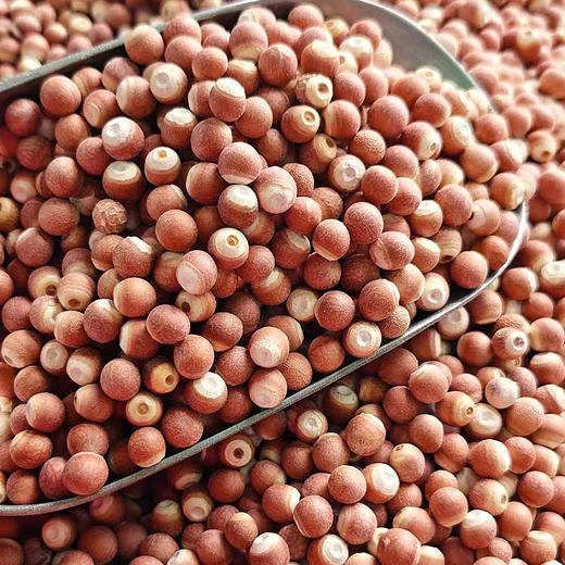 『洪湖大颗粒芡实』饱满清甜，吃法百搭，又名鸡头米，享“水中人参”之美誉 商品图0