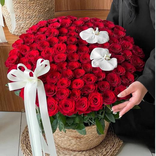 好想抱抱你---66支99支玫瑰蝴蝶兰抱抱篮四选一 商品图0
