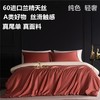 60支兰精天丝四件套25春秋新品高端A类冰丝被套莱赛尔面料 商品缩略图1