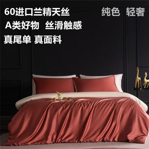 60支兰精天丝四件套25春秋新品高端A类冰丝被套莱赛尔面料 商品图1
