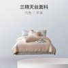 【兰精天丝莱赛尔四件套】柔光丝滑冰丝夏季温润四件套床单枕套被罩 商品缩略图3