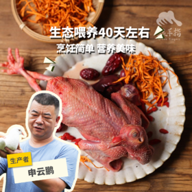 生态乳鸽  | 绿家自产* Eco- squab | Self-production