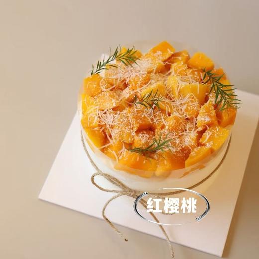 逐梦冰淇淋蛋糕 商品图0