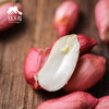 生态新鲜水果花生 | 合作生产*Ecological  peanut |  Partner Production 商品缩略图4