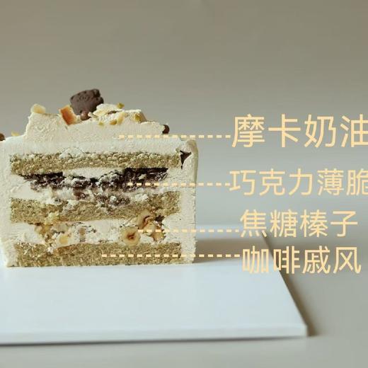 玛奇朵小熊 商品图2