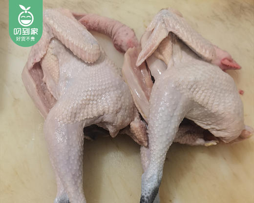 桐子园正宗散养东乡土鸡（杀好冰鲜）/1只（1.1-1.25kg）生产日期：12月21日 商品图3