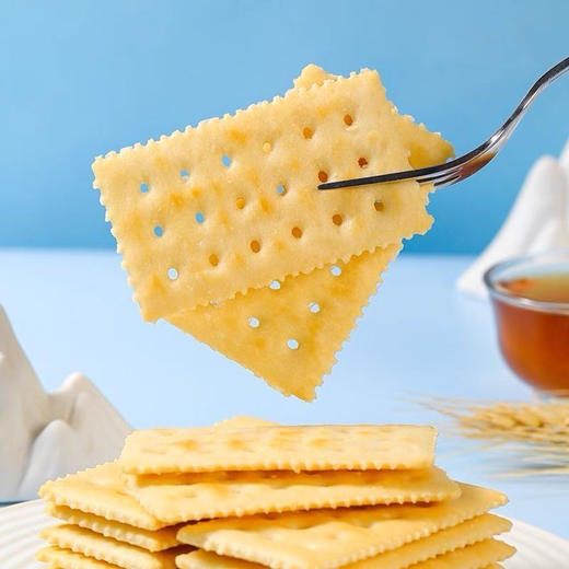 至简定义苏打饼干白芝麻奶盐味1000g 商品图2