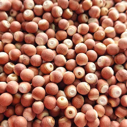 『洪湖大颗粒芡实』饱满清甜，吃法百搭，又名鸡头米，享“水中人参”之美誉 商品图8