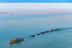 暑期3天2晚北戴河【亲子/单飞】北京出发【海趣牧歌】|海洋牧场+动物奇趣优等生+开蚌取珠+渔网编制+动物百老汇+渔田度假区畅玩!