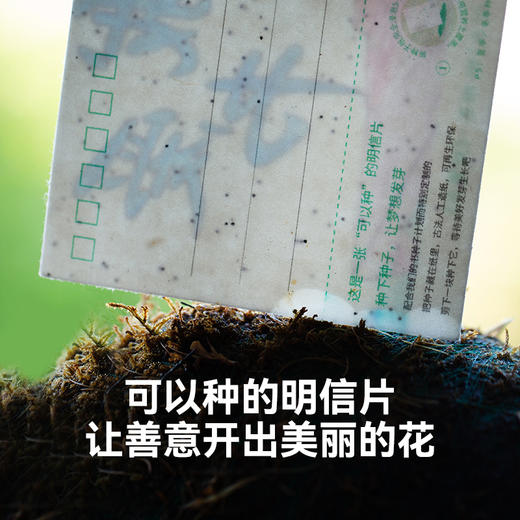 教师节礼物天花板！【书种子计划 · 明信片茶】，让老师印象深刻的公益茶礼，温暖、美好、用心、特别，市面无平替！ 商品图5