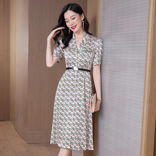 丁摩 重磅真丝连衣裙女中长款新款高档时尚桑蚕丝5ZF-23002 商品图1