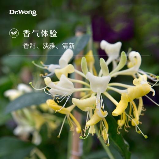 忍冬 单方精油 商品图1