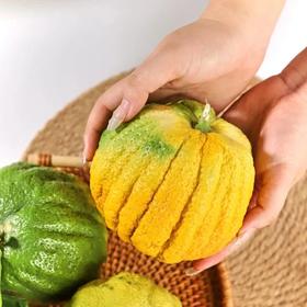 好看的香橼一果难求每一个都是精品青黄果期️待到金灿时香气更醇厚满屋飘香基地直邮