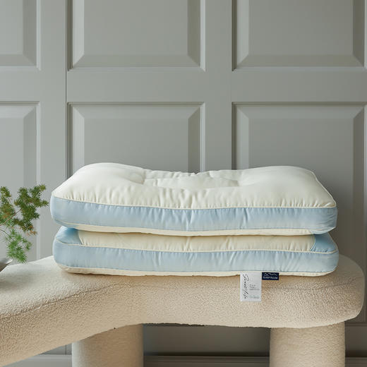 儿童学生壹举高粽护颈按摩枕芯枕头 商品图1