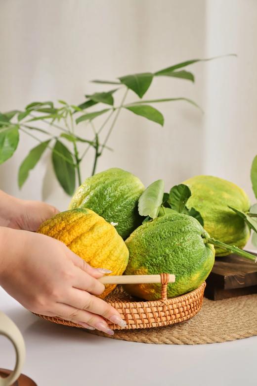 好看的香橼一果难求每一个都是精品青黄果期️待到金灿时香气更醇厚满屋飘香基地直邮 商品图2