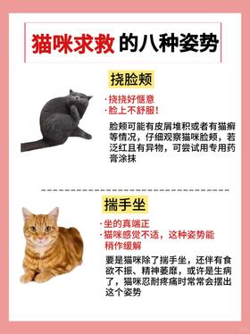 🔥注意‼️猫咪出现这8种姿势是在求救！