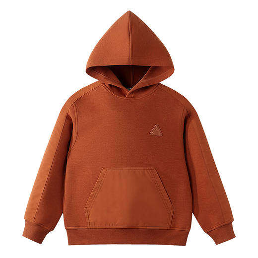 【实体店同款】男童带帽长袖卫衣秋季新款安奈儿童装AB531028 商品图5