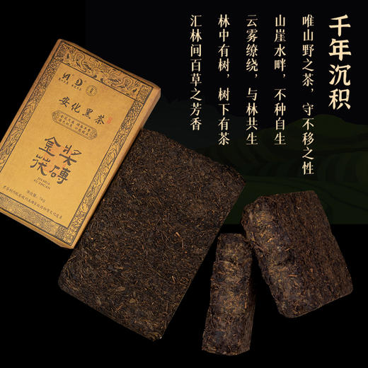 湖南乐道茶业 安化黑茶 金奖茯砖/老友金花黑茶 茶香浓郁 香浓回甘 商品图3