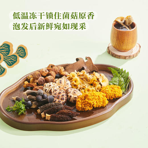 MM 山姆 Member's Mark 丛山觅珍菌菇礼盒 628g 商品图3