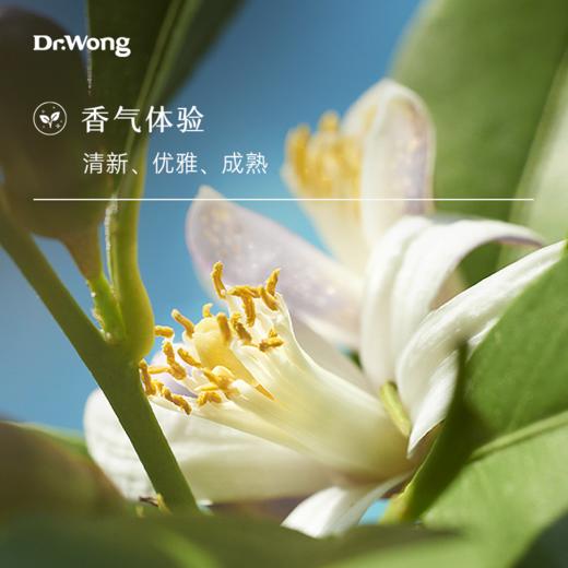 橙花 单方精油 商品图1