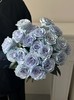 厄瓜多尔进口染色高端花材Blue Sand蓝色沙子玫瑰花10支 商品缩略图3