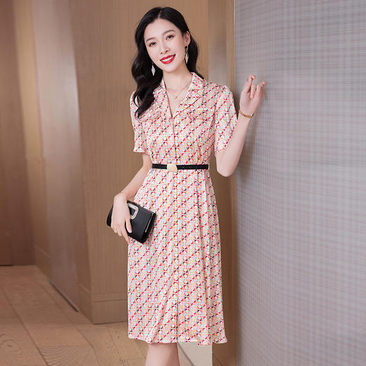 丁摩 重磅真丝连衣裙女中长款新款高档时尚桑蚕丝5ZF-23002 商品图0